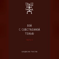 Бой с собственной тенью. Заметки православного воина (книга вторая)