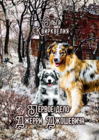 Первое дело Джерри Джошевича