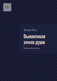 Выжженная земля души. Жизнь после гонки
