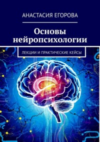 Основы нейропсихологии. Лекции и практические кейсы