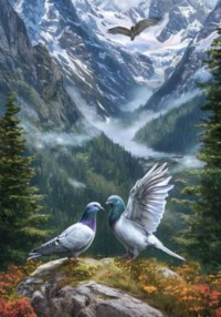 Последний любовный роман