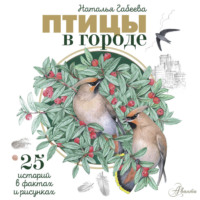 Птицы в городе. 25 историй в фактах