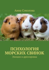 Психология морских свинок. Эмоции и дрессировка