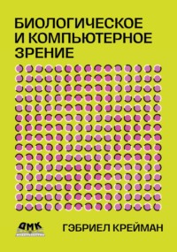 Биологическое и компьютерное зрение