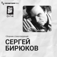 Сергей Бирюков. Универсум. Гиперзвуковая поэзия