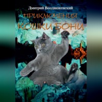 ПРИКЛЮЧЕНИЯ КОШКИ БОНИ