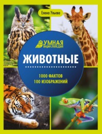 Животные. Энциклопедия