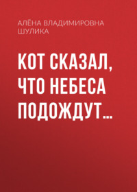 Кот сказал, что небеса подождут…