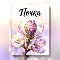 Почка