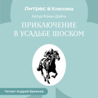 Приключение в усадьбе Шоском