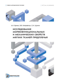 Исследование морфофункциональных и механических свойств мягких тканей предплечья