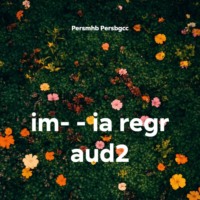 im- – ia regr aud2