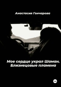 Мое сердце украл Шаман. Близнецовые пламена