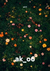 ak_o6