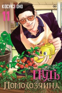 Путь домохозяина. Том 11