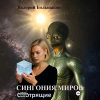 Сингония миров. Смотрящие