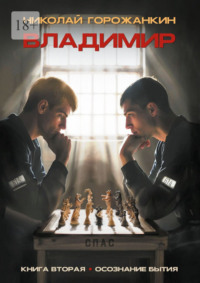 Владимир. Книга вторая. Осознание бытия