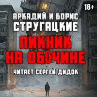 Пикник на обочине