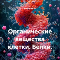 Органические вещества клетки. Белки.