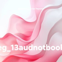 eg_13audnotbook