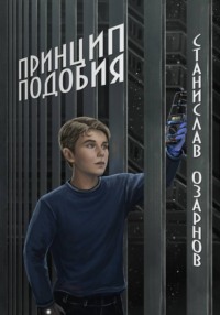 Принцип подобия