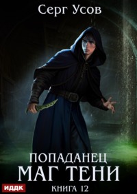 Попаданец. Маг Тени. Книга 12