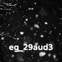 eg_29aud3