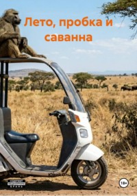 Лето, пробка и саванна