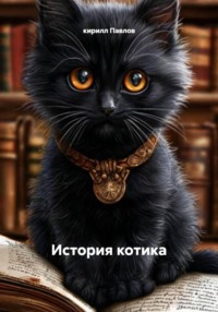 История котика