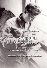 Солнце в аистовом гнезде. Лирическая пьеса для ТЮЗов