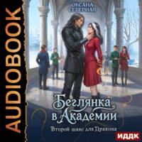 Беглянка в академии. Второй шанс для дракона