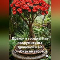 Дракон в горшке. Как подружиться с драценой и не погубить её заботой