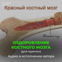 Оздоровление костного мозга для мужчин