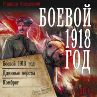 Боевой 1918 год