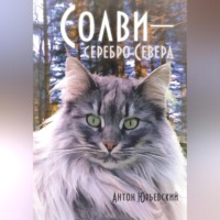 Солви - серебро Севера