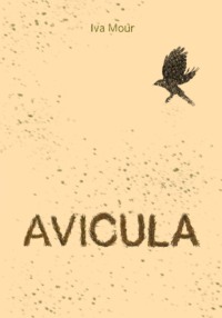 Avicula