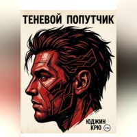Теневой попутчик