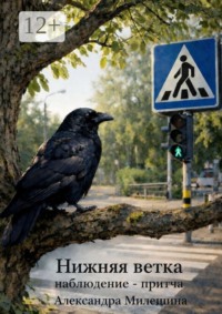 Нижняя ветка. Наблюдение-притча