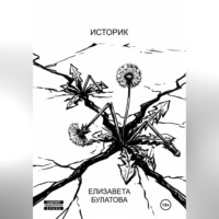 Историк