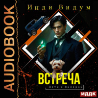 Петя и Валерон. Книга 7. Встреча