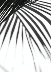 av- TEST8827(book-self)