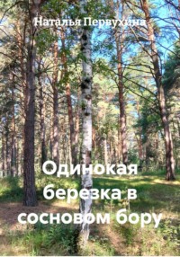Одинокая березка в сосновом бору