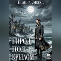 Город под крылом