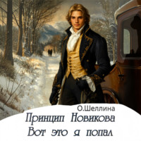 Принцип Новикова. Вот это я попал