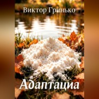 Адаптация