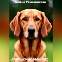 Апельсиновый пёс