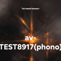 av- TEST8917(phono)