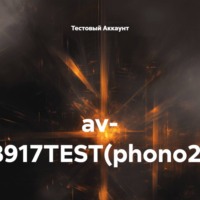 av- 8917TEST(phono2)