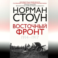 Восточный фронт. 1914 – 1917