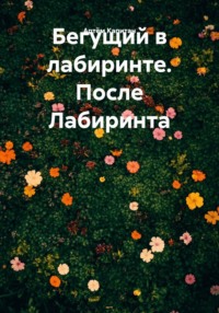 Бегущий в лабиринте. После Лабиринта